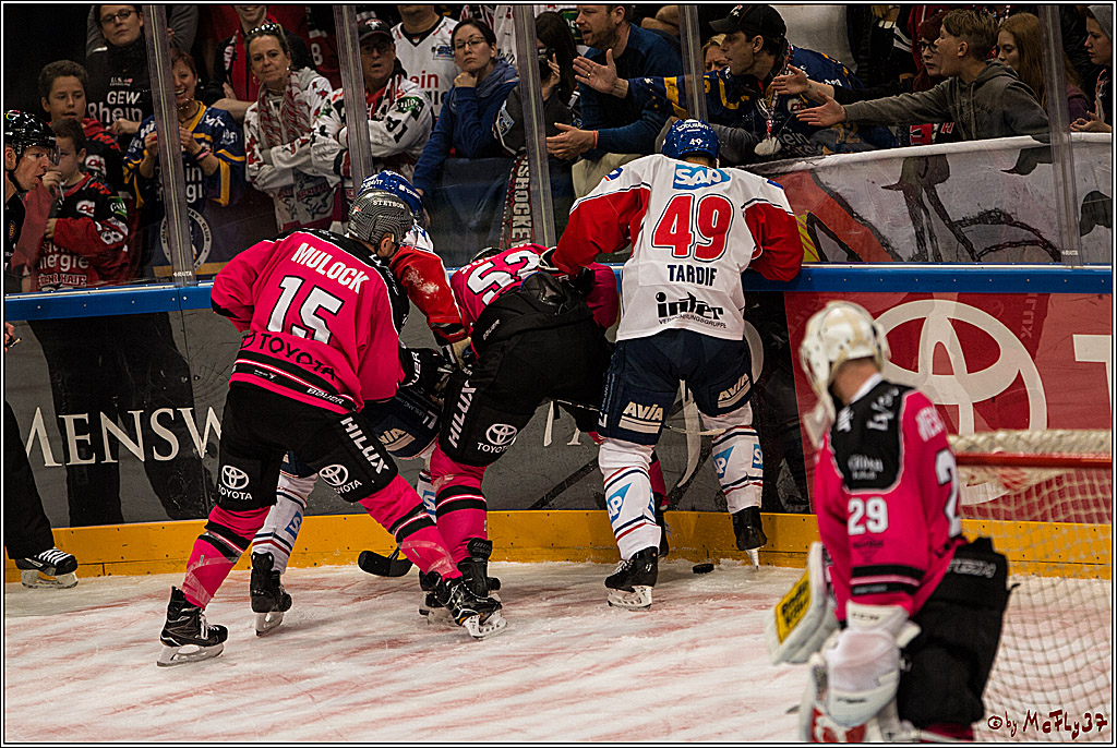 Koelner Haie - Adler Mannheim, 30.10.2016